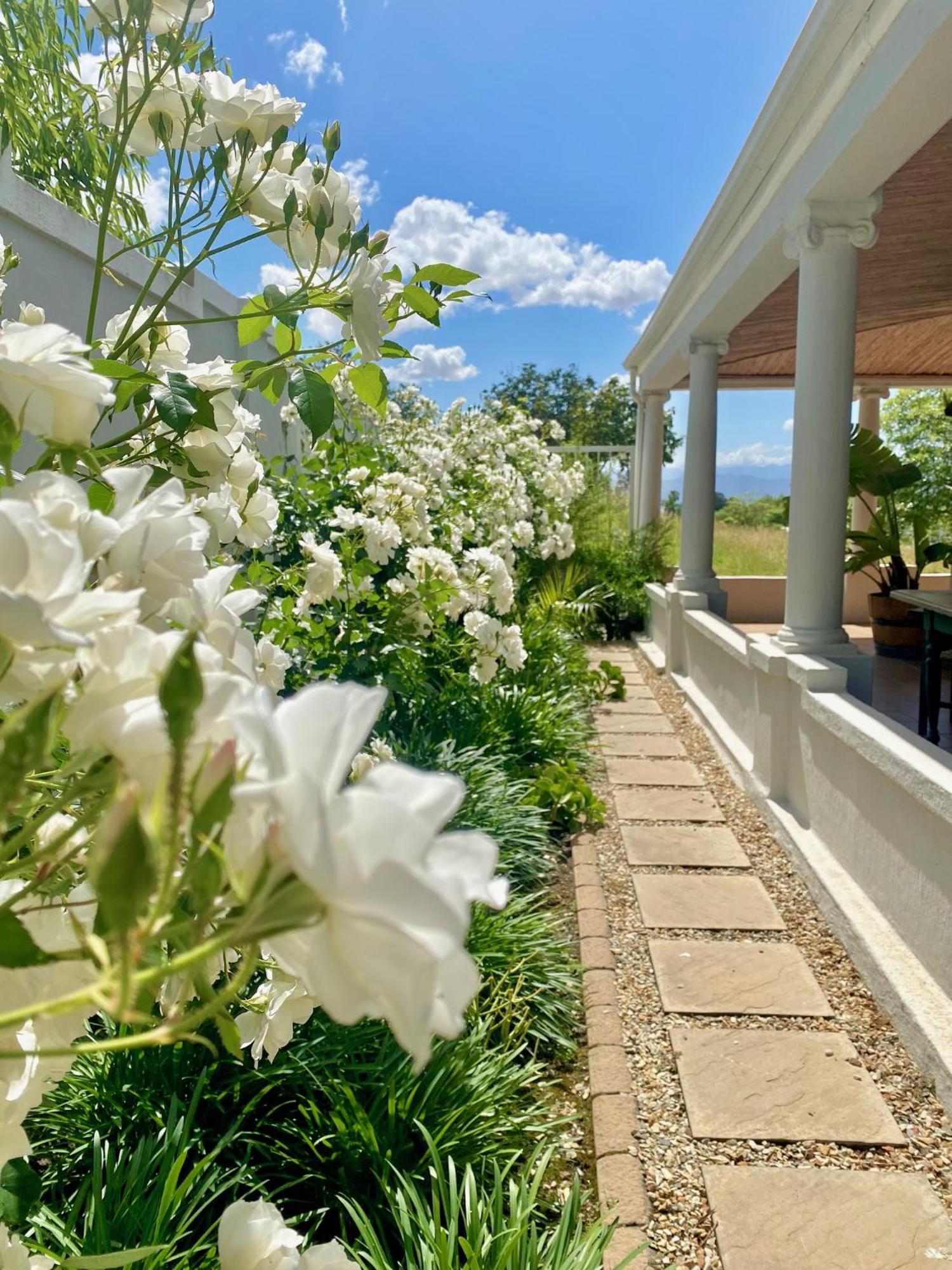 1 Royal Street Guesthouse 리비크 카스틸 외부 사진